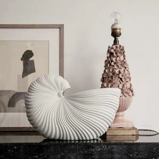 Eye-catching Seashell Vase