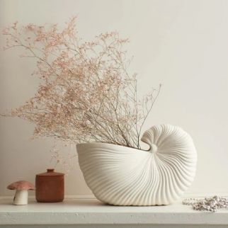 مزهرية صدفة البحر لافته للنظر