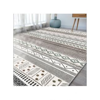 Thickened and Washable Large Carpet for Household Full Bedroom Living Room 200*300cm Style 2