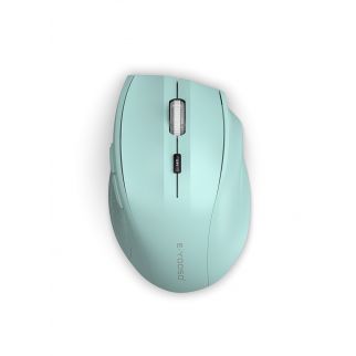 Wireless Mice 3-Level DPI Ergonomic Wireless Mouse for Laptop,Mac,PC Sky Blue