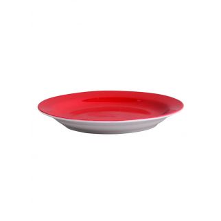 A colored ceramic disc with a diameter of 8 inches.