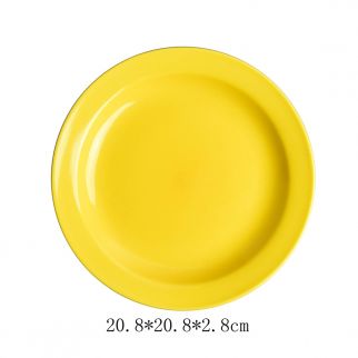 A colored ceramic disc with a diameter of 8 inches.