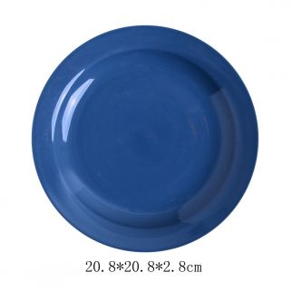 A colored ceramic disc with a diameter of 8 inches.