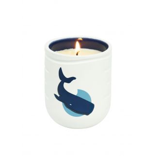 Natural Plant Aromatherapy Candles for Home and Indoor Use Model A